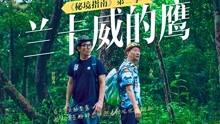 现代战争防御战无敌版