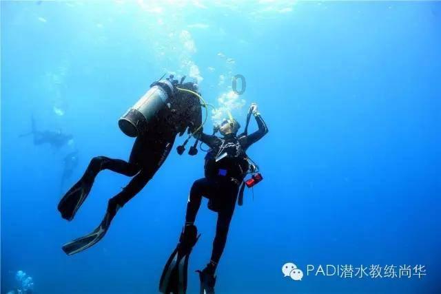 小猫钓鱼游戏龙王版有船