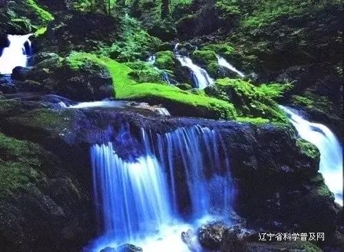 “北疆风光好 红城年味浓”网络主题宣传活动开始啦~