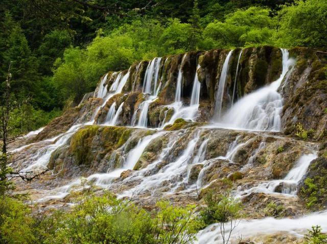 新春走基层丨春节临近 “中国淡水鱼都”百年鱼市销售旺